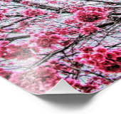 Branches en bloemen van een Cherry Tree Foto Afdruk (Hoek)