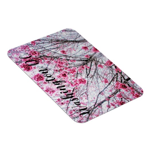 Branches en bloemen van een Cherry Tree Magneet (Rechterzijde)