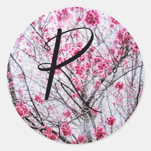Branches en bloemen van een Cherry Tree Ronde Sticker (Voorkant)