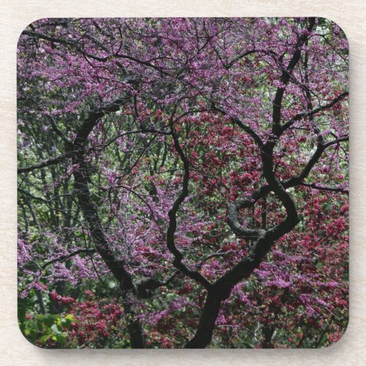 Branches en bloesems bier onderzetter (Voorkant)