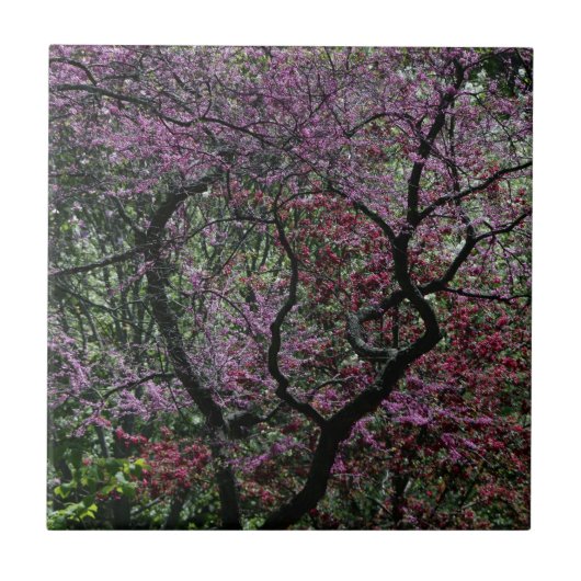 Branches en bloesems tegeltje (Voorkant)