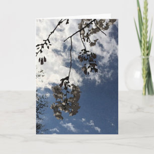 Branches en bloesems Wenskaart Kaart