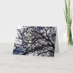 Branches en bloesems Wenskaart Kaart