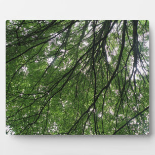 Branches en lederen Plaque Fotoplaat