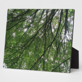 Branches en lederen Plaque Fotoplaat (Zijkant)