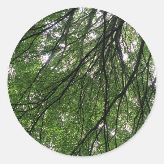 Branches en lederen stickers (Voorkant)