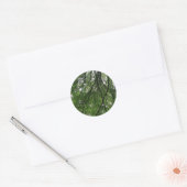 Branches en lederen stickers (Envelop)
