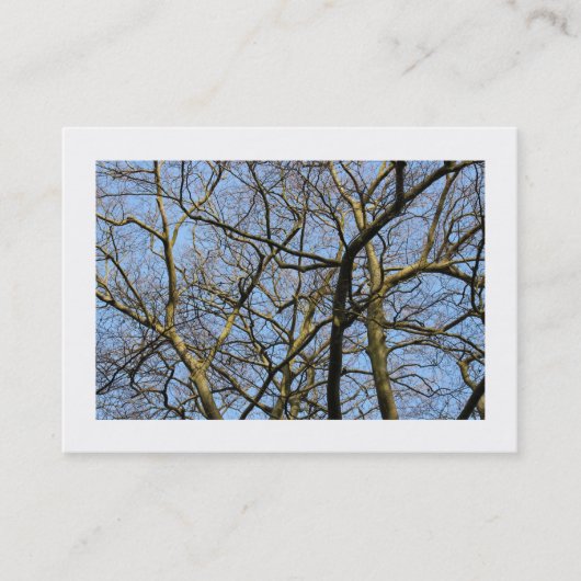 Branches (grenzen) visitekaartje (Voorkant)