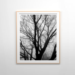 Branches in de Fog Fotografie Poster