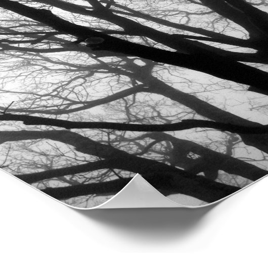 Branches in de Fog Fotografie Poster (Hoek)