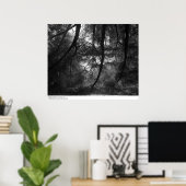 Branches, in sun, UC Santa Cruz, 1963 Poster (Thuiskantoor)