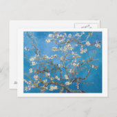 Branches met Almond Blossom Van Gogh Briefkaart (Voorkant / Achterkant)