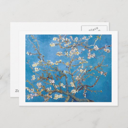 Branches met Almond Blossom Van Gogh Briefkaart (Voorkant / Achterkant)