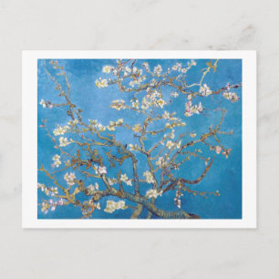 Branches met Almond Blossom Van Gogh Briefkaart