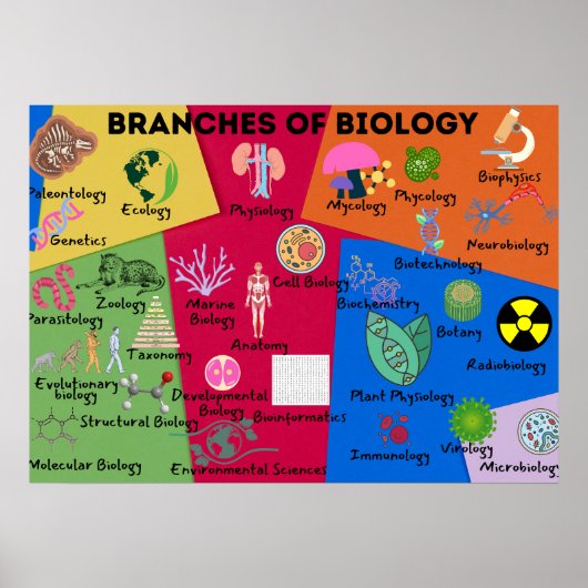 Branches van de biologie poster (Voorkant)