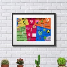 Branches van de biologie