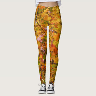 Branches van de Oranje herfst Maple Leaves II Leggings