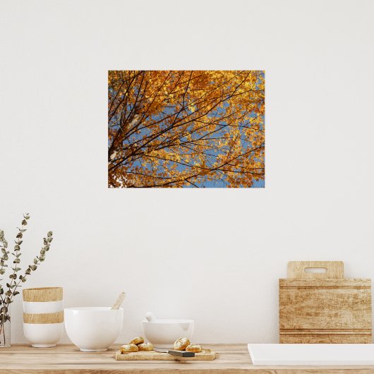 Branches van de Oranje herfst Maple Leaves II Poster (Keuken)