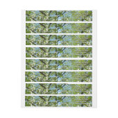 Branches van Dogwood Blossom Spring Trees (Vel)