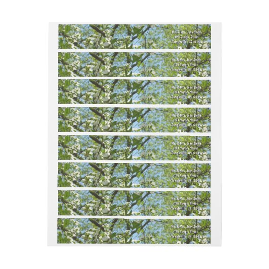 Branches van Dogwood Blossom Spring Trees (Vel)