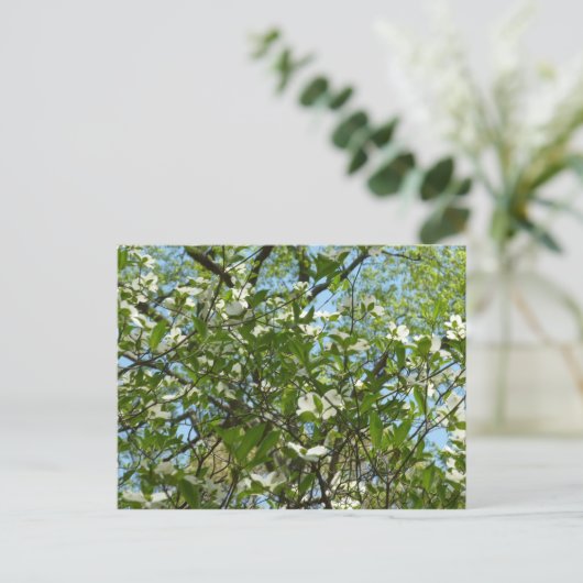 Branches van Dogwood Blossom Spring Trees Briefkaart (Staand voorkant)