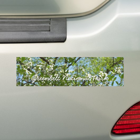 Branches van Dogwood Blossom Spring Trees Bumpersticker (Op auto)