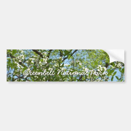 Branches van Dogwood Blossom Spring Trees Bumpersticker (Voorkant)