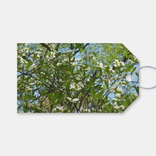 Branches van Dogwood Blossom Spring Trees Cadeaulabel (Voorkant (Horizontaal))