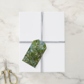 Branches van Dogwood Blossom Spring Trees Cadeaulabel (Met Touw)