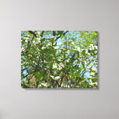 Branches van Dogwood Blossom Spring Trees Canvas Afdruk (Voorkant)