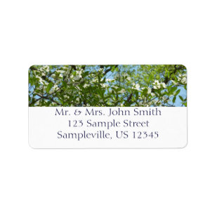 Branches van Dogwood Blossom Spring Trees Etiket