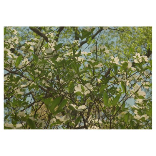 Branches van Dogwood Blossom Spring Trees Houten Poster (Voorkant)