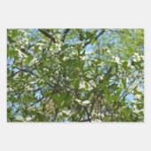 Branches van Dogwood Blossom Spring Trees Inpakpapier Vel (Voorkant)