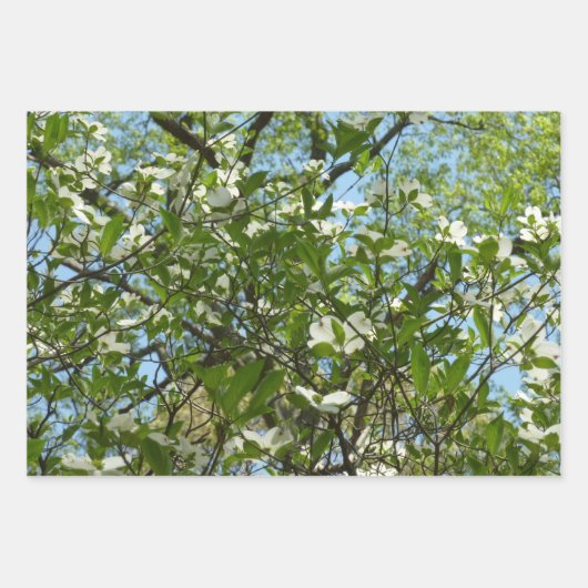 Branches van Dogwood Blossom Spring Trees Inpakpapier Vel (Voorkant)