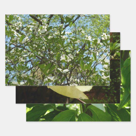 Branches van Dogwood Blossom Spring Trees Inpakpapier Vel (Set)