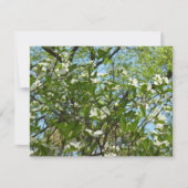 Branches van Dogwood Blossom Spring Trees Kaart (Voorkant)