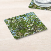 Branches van Dogwood Blossom Spring Trees Kartonnen Onderzetters (Schuin)