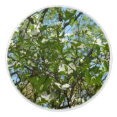 Branches van Dogwood Blossom Spring Trees Keramische Knop (Voorkant)
