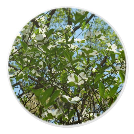 Branches van Dogwood Blossom Spring Trees Keramische Knop (Voorkant)