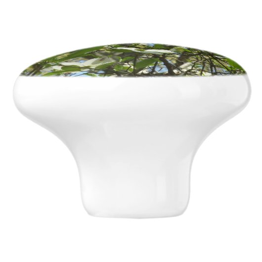 Branches van Dogwood Blossom Spring Trees Keramische Knop (Zijkant)