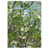 Branches van Dogwood Blossom Spring Trees Klembord (Achterkant)