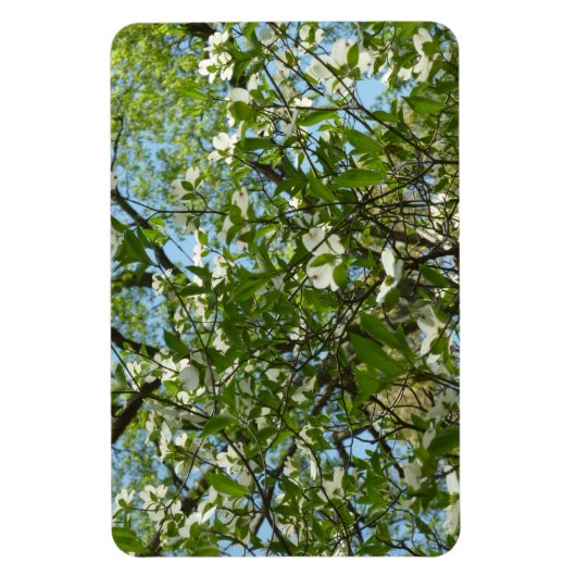 Branches van Dogwood Blossom Spring Trees Magneet (Verticaal)