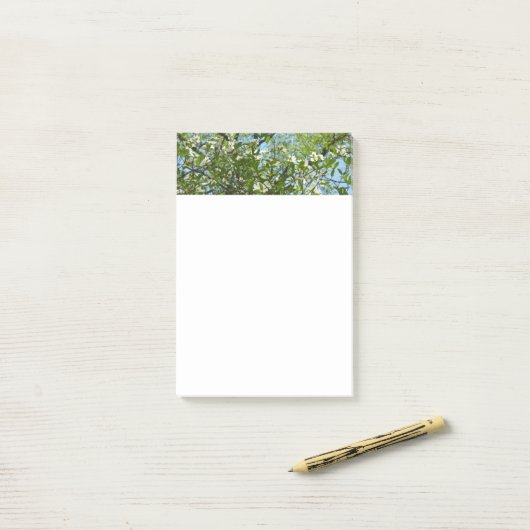 Branches van Dogwood Blossom Spring Trees Post-it® Notes (Op bureau)