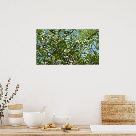 Branches van Dogwood Blossom Spring Trees Poster (Keuken)