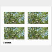 Branches van Dogwood Blossom Spring Trees Rechthoekige Sticker (Vel)