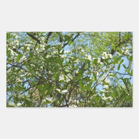 Branches van Dogwood Blossom Spring Trees Rechthoekige Sticker (Voorkant)