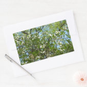Branches van Dogwood Blossom Spring Trees Rechthoekige Sticker (Envelop)