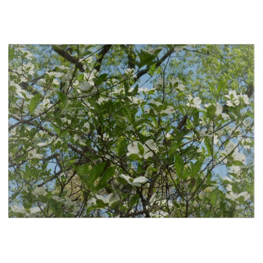 Branches van Dogwood Blossom Spring Trees Snijplank (Voorkant)