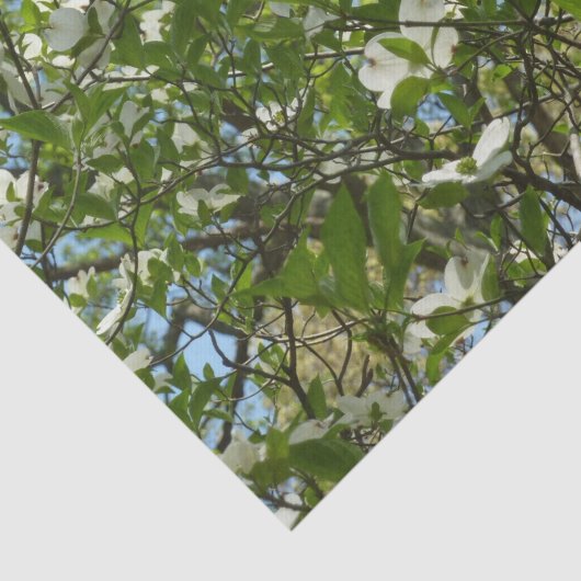 Branches van Dogwood Blossom Spring Trees Tissuepapier (Detail)