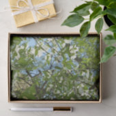 Branches van Dogwood Blossom Spring Trees Tissuepapier (Geschenk)